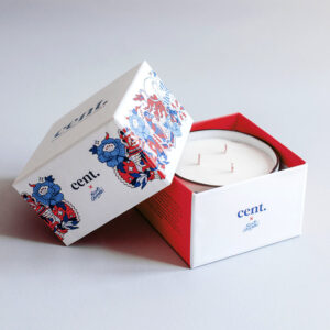 printed 2 piece boxes